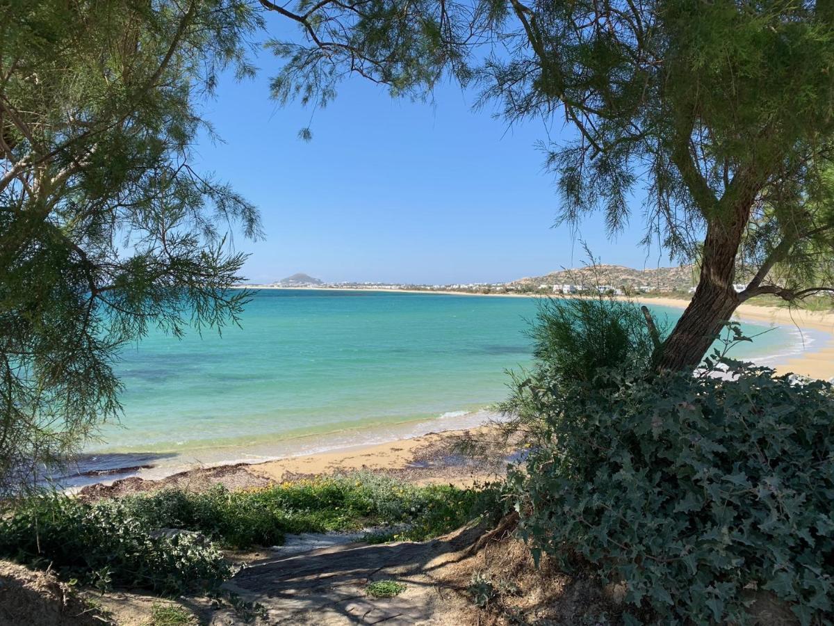 Villa Paradise In Naxos Плака Екстер'єр фото