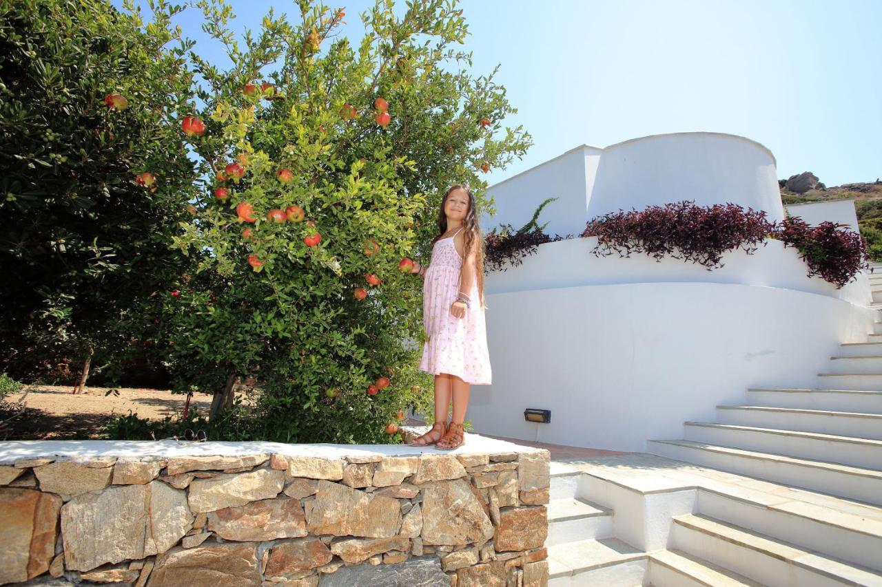 Villa Paradise In Naxos Плака Екстер'єр фото